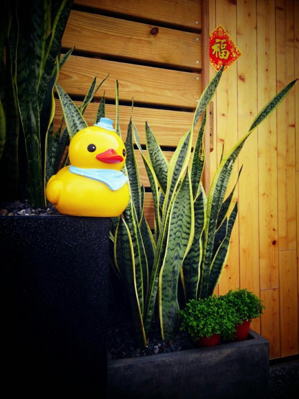 Yy Elleys Home Jiaoxi Buitenkant foto